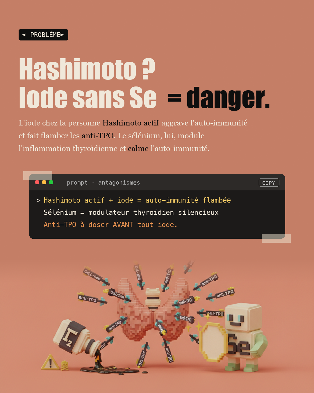 Sélénium : le protocole précis pour Hashimoto : Slide 2