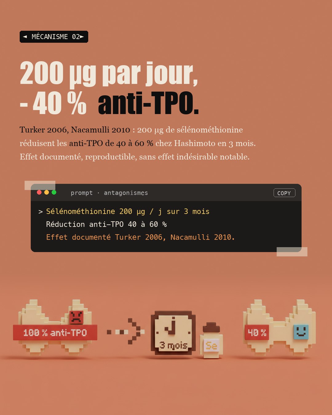 Sélénium : le protocole précis pour Hashimoto : Slide 4