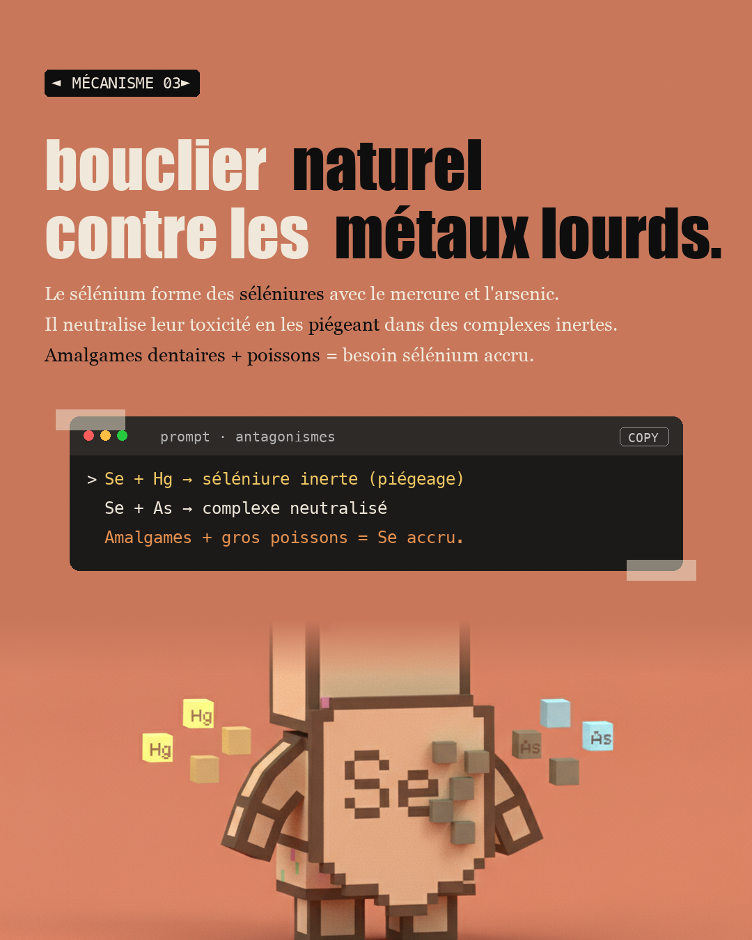 Sélénium : le protocole précis pour Hashimoto : Slide 5