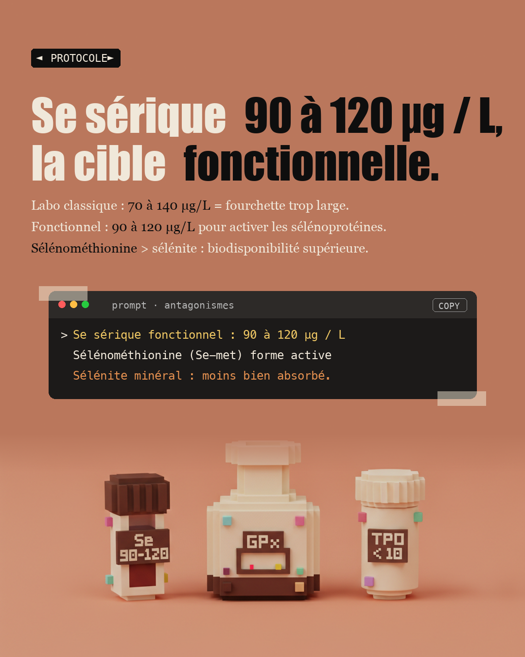 Sélénium : le protocole précis pour Hashimoto : Slide 6