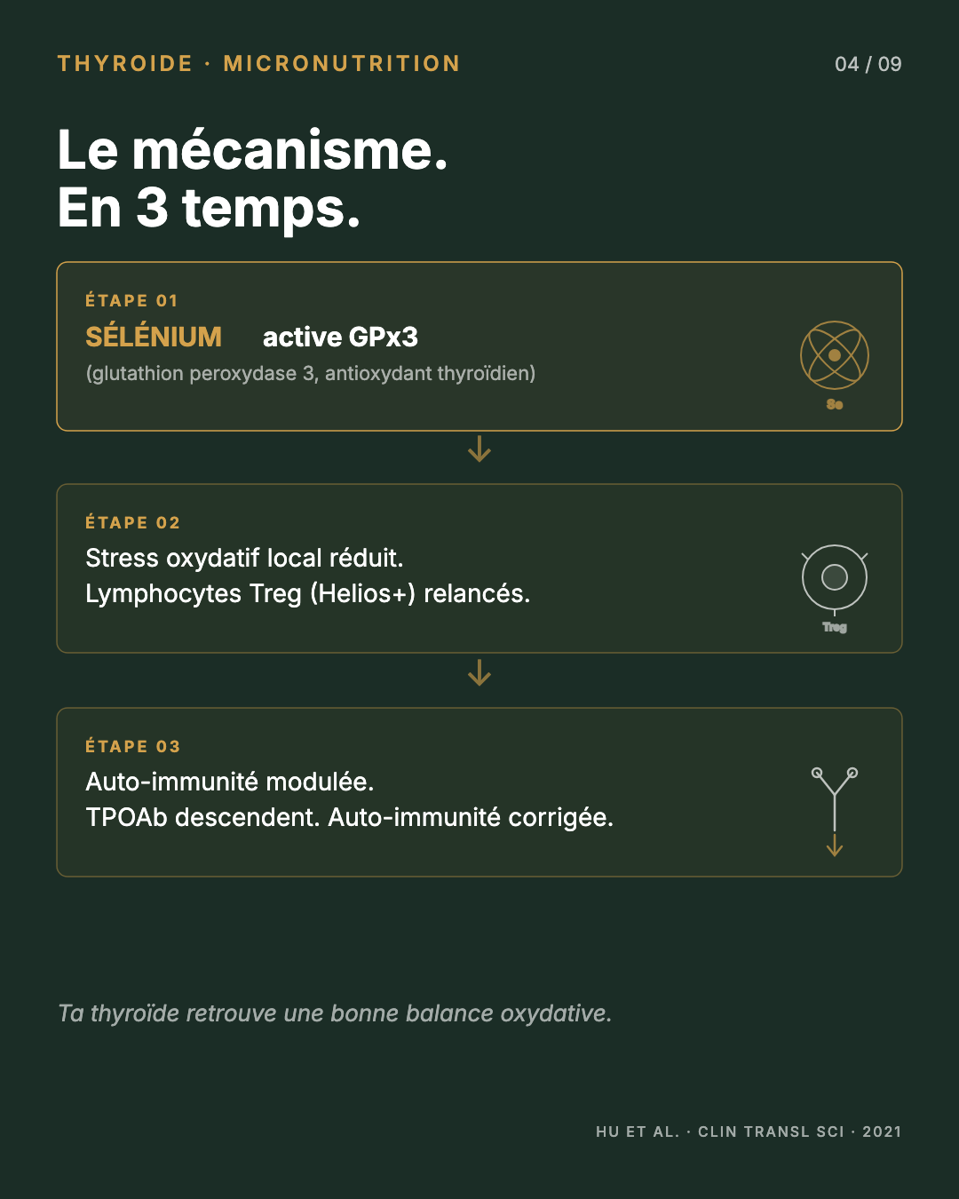 Sélénium : l'oligo-élément qui apaise Hashimoto : Slide 4