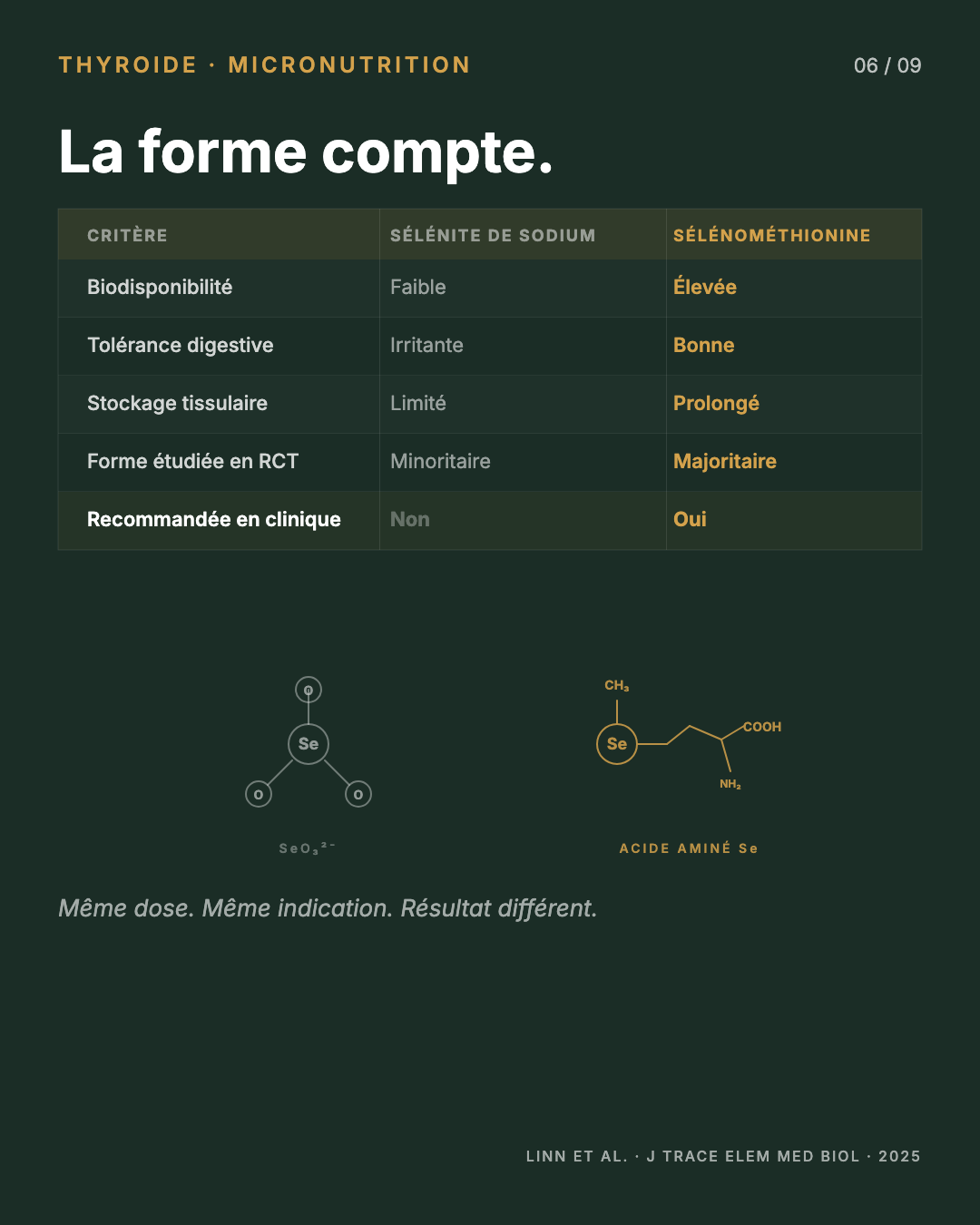 Sélénium : l'oligo-élément qui apaise Hashimoto : Slide 6