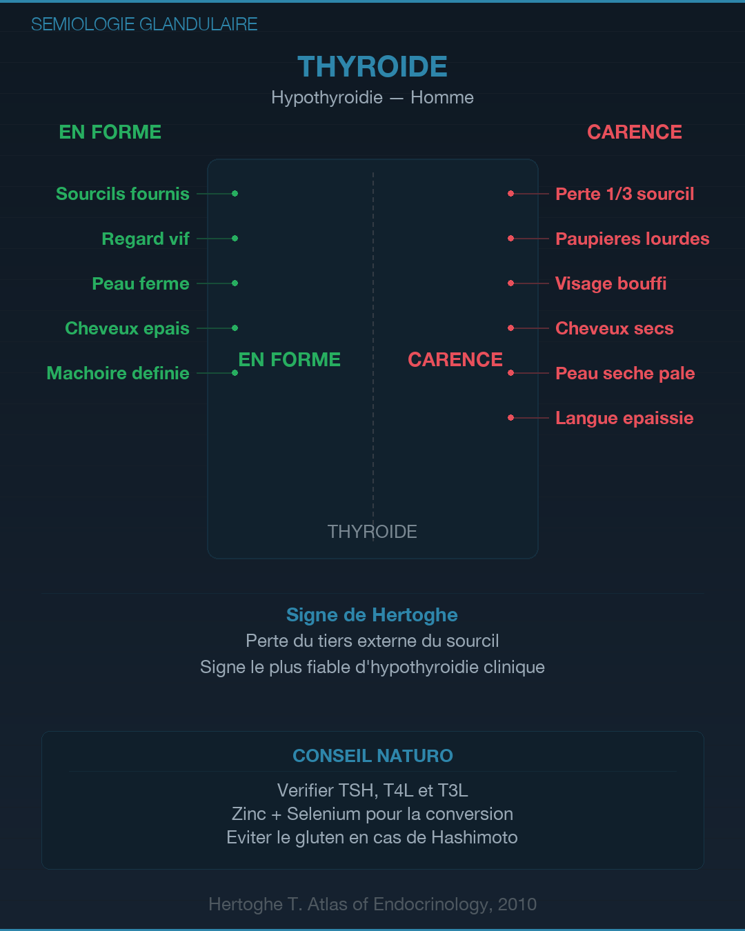 Sémiologie glandulaire : lire les signes du corps : Slide 2