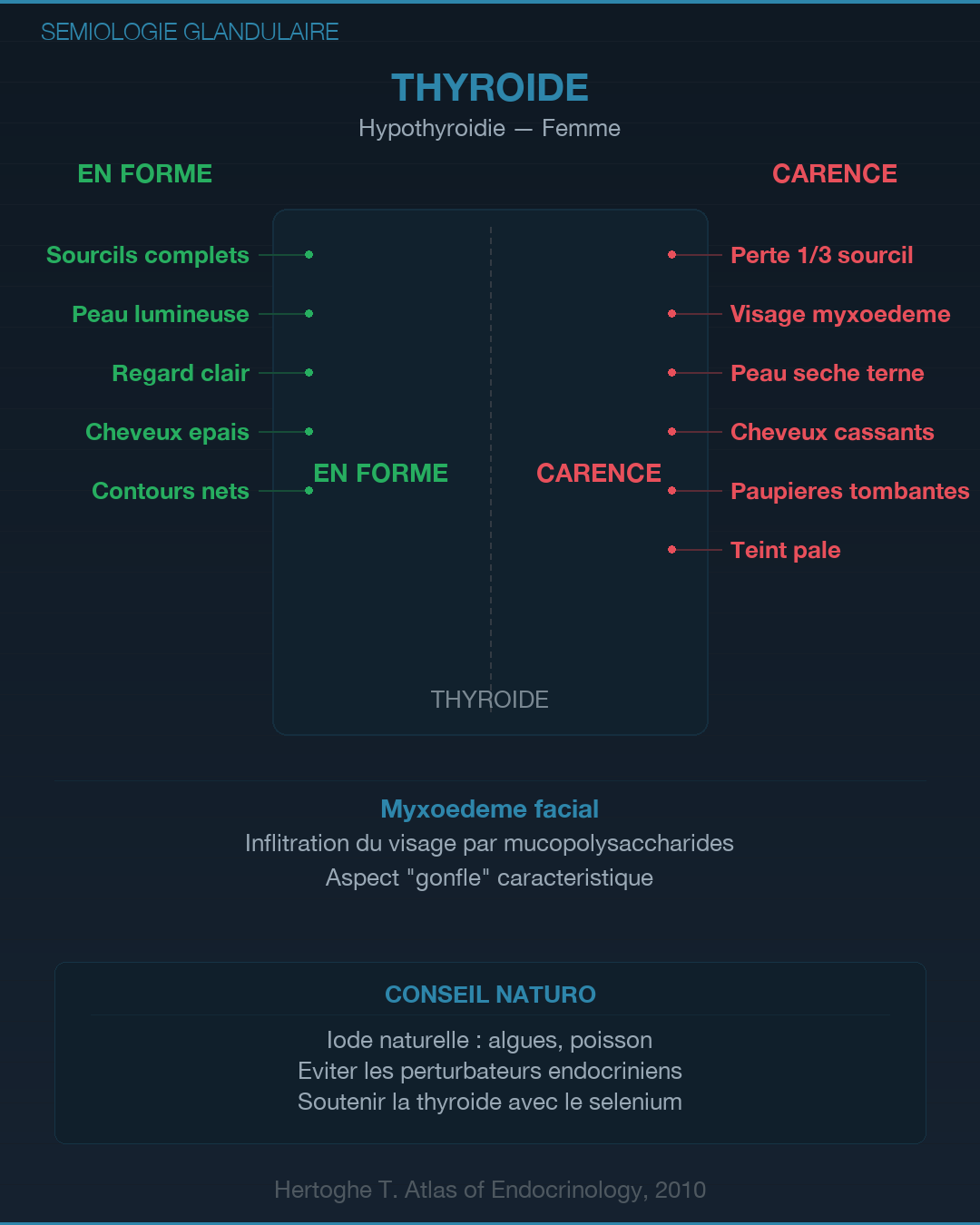 Sémiologie glandulaire : lire les signes du corps : Slide 3