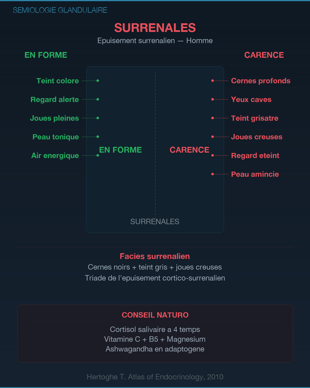 Sémiologie glandulaire : lire les signes du corps : Slide 4