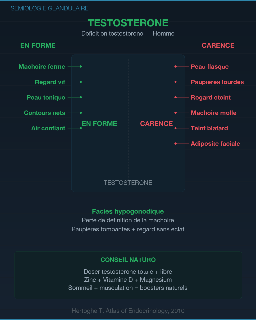 Sémiologie glandulaire : lire les signes du corps : Slide 7