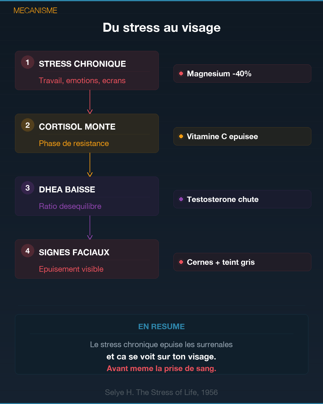Sémiologie surrénales : les signes qui ne trompent pas : Slide 3