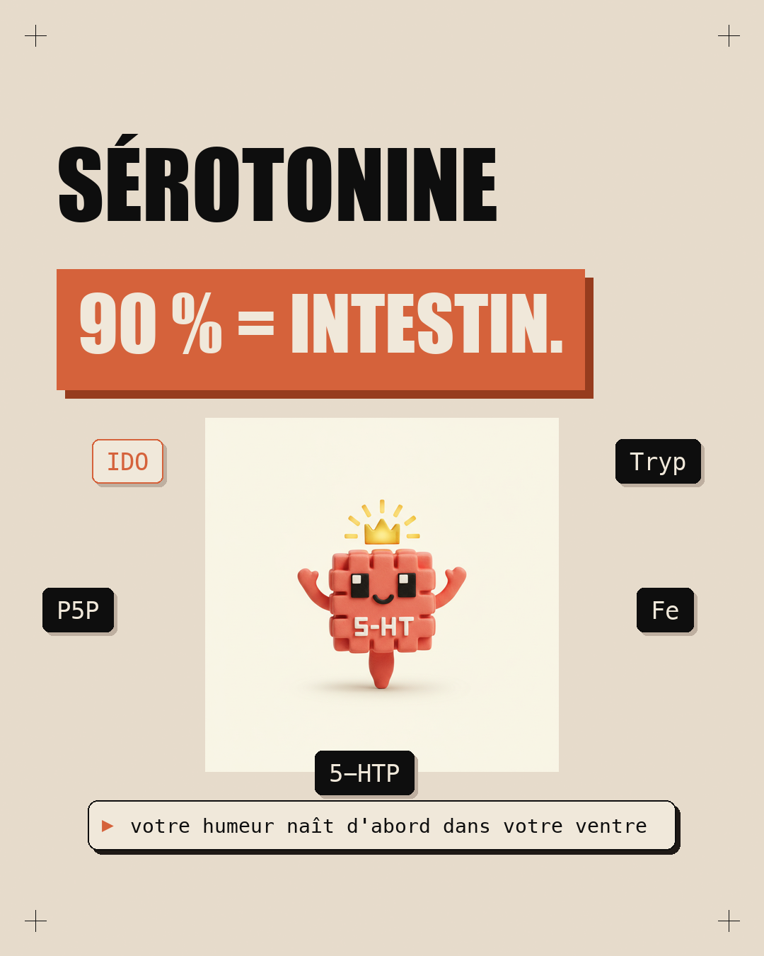 Sérotonine : 90 % vient de ton intestin
