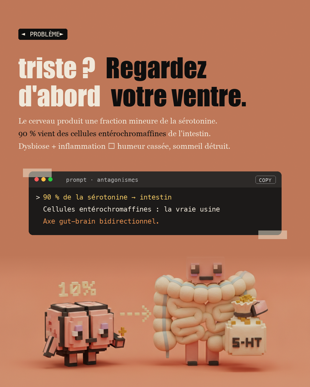 Sérotonine : 90 % vient de ton intestin : Slide 2