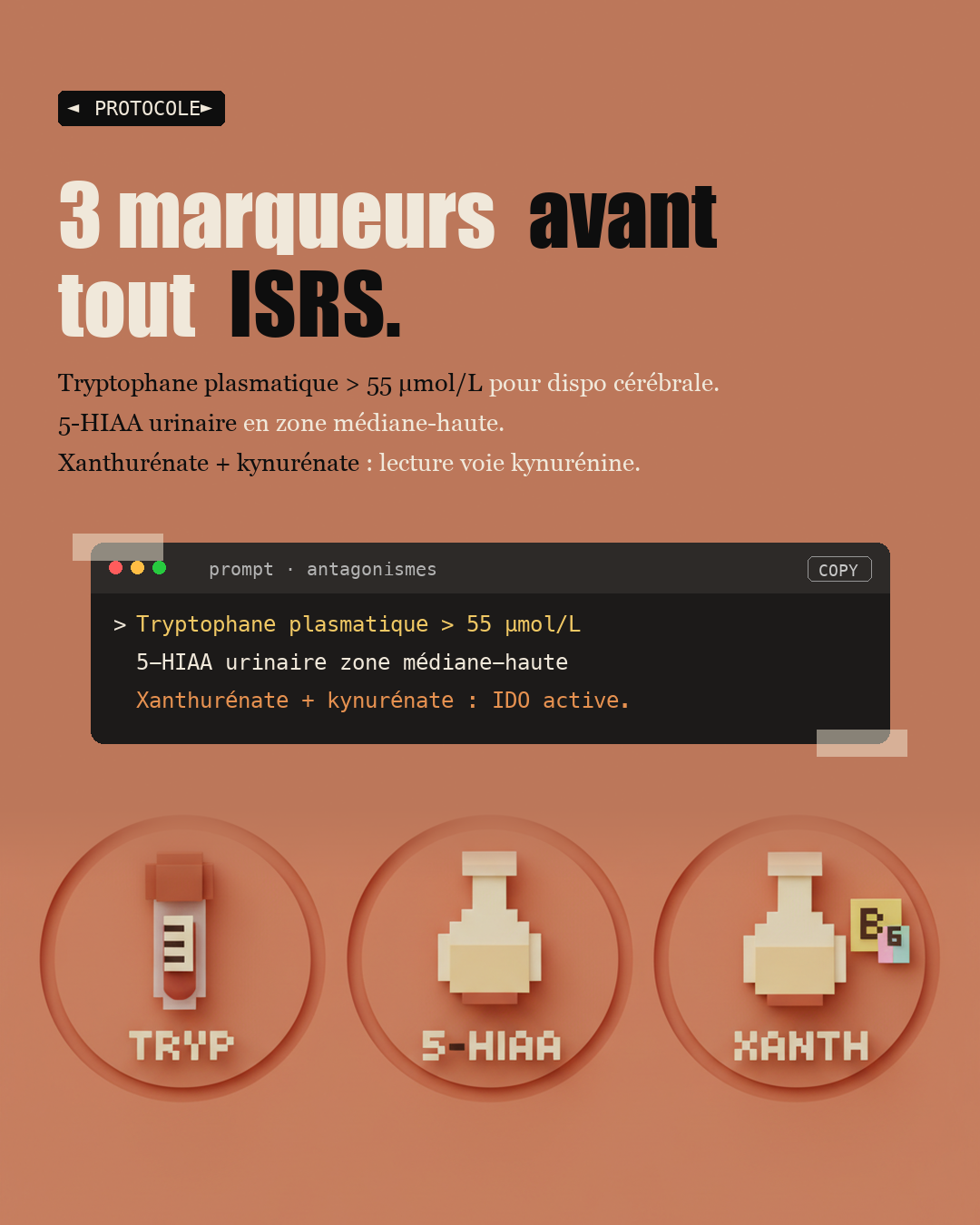 Sérotonine : 90 % vient de ton intestin : Slide 6