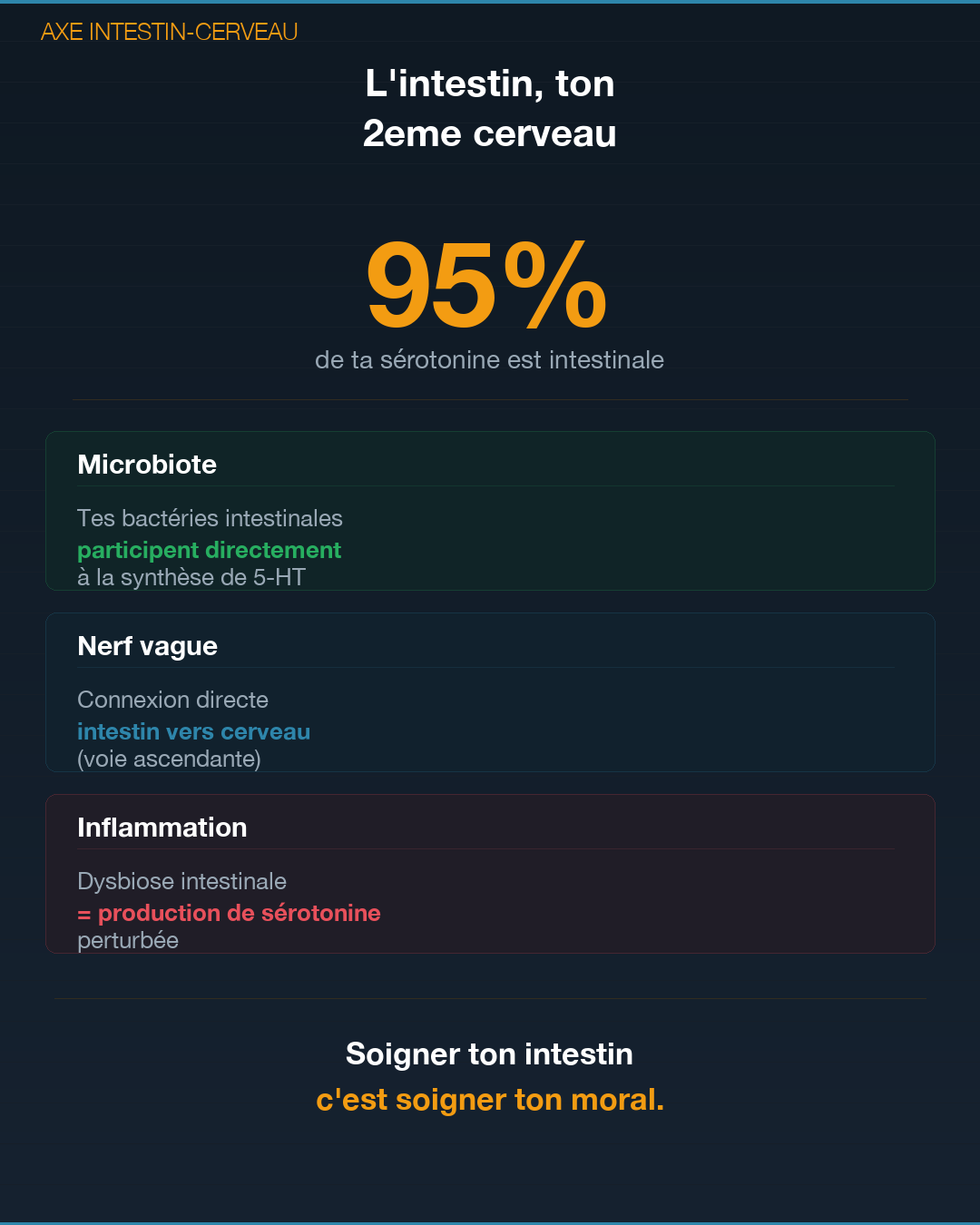 Sérotonine : la fabriquer naturellement : Slide 4