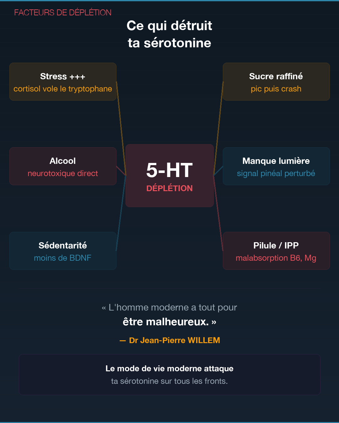 Sérotonine : la fabriquer naturellement : Slide 8