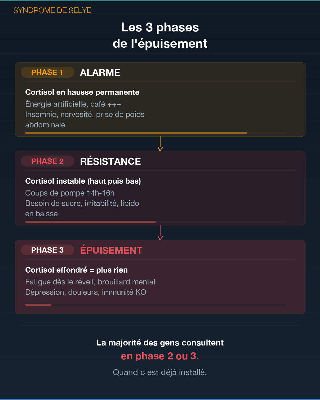 Surrénales : quand tes glandes lâchent : Slide 3