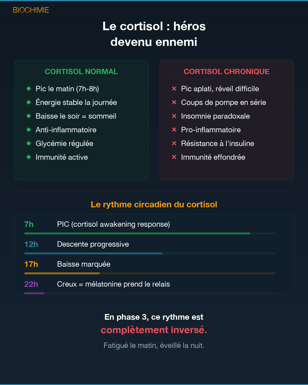Surrénales : quand tes glandes lâchent : Slide 4