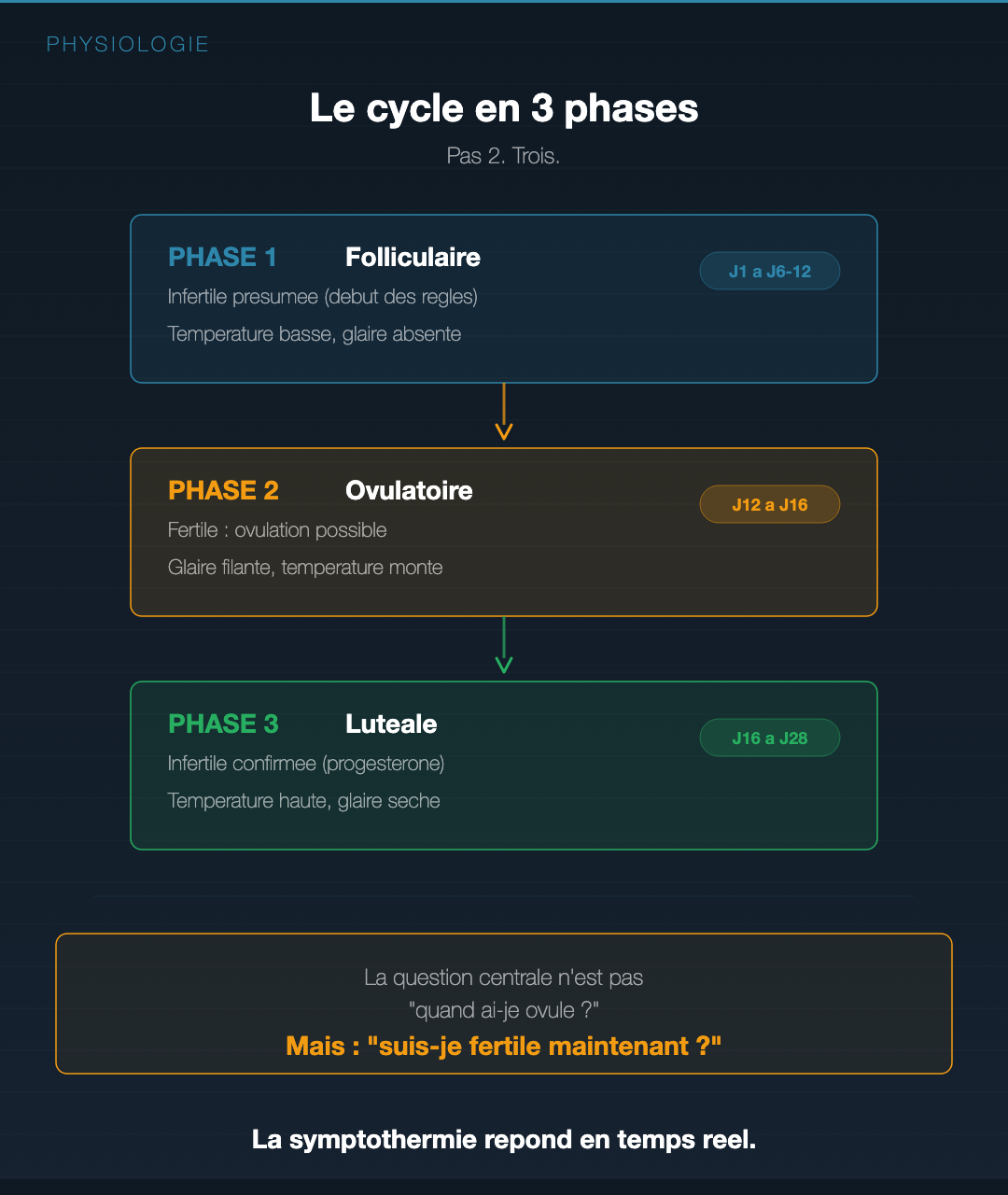 Symptothermie : lire ton cycle féminin : Slide 3