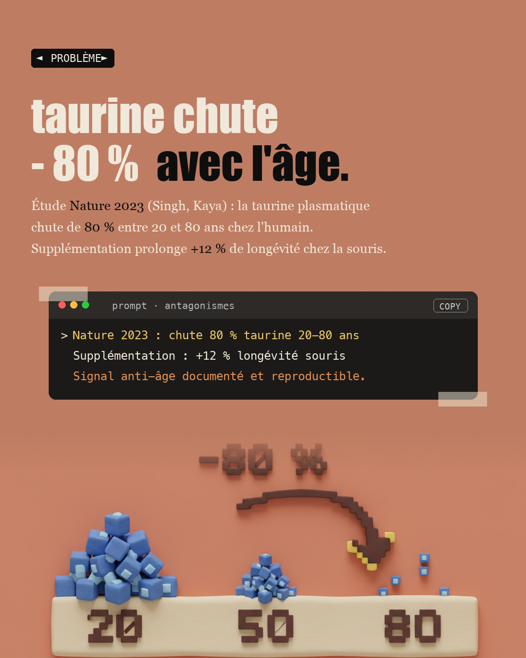 Taurine : l'acide aminé anti-âge oublié : Slide 2