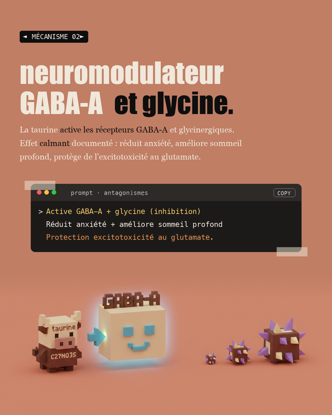 Taurine : l'acide aminé anti-âge oublié : Slide 4