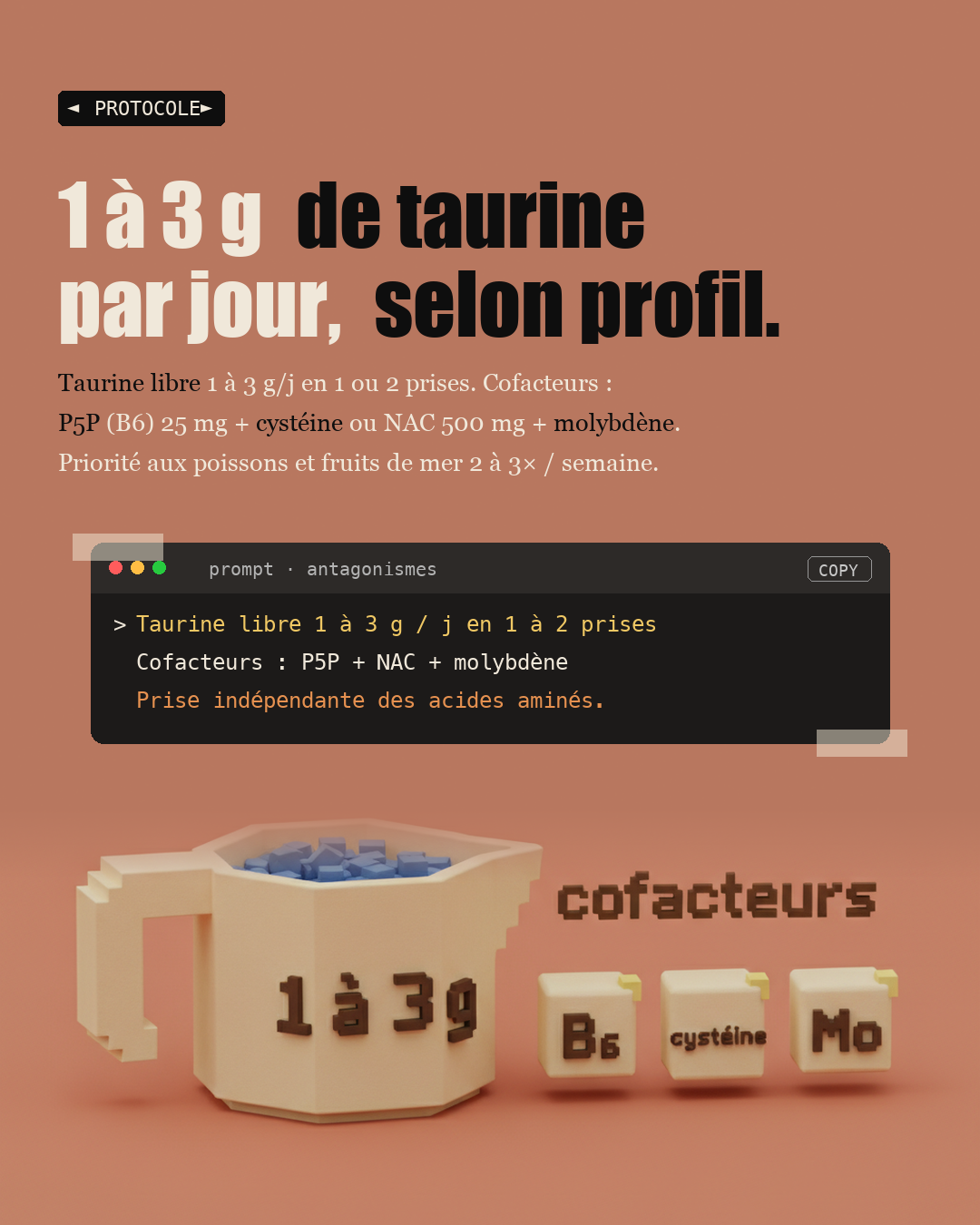 Taurine : l'acide aminé anti-âge oublié : Slide 6