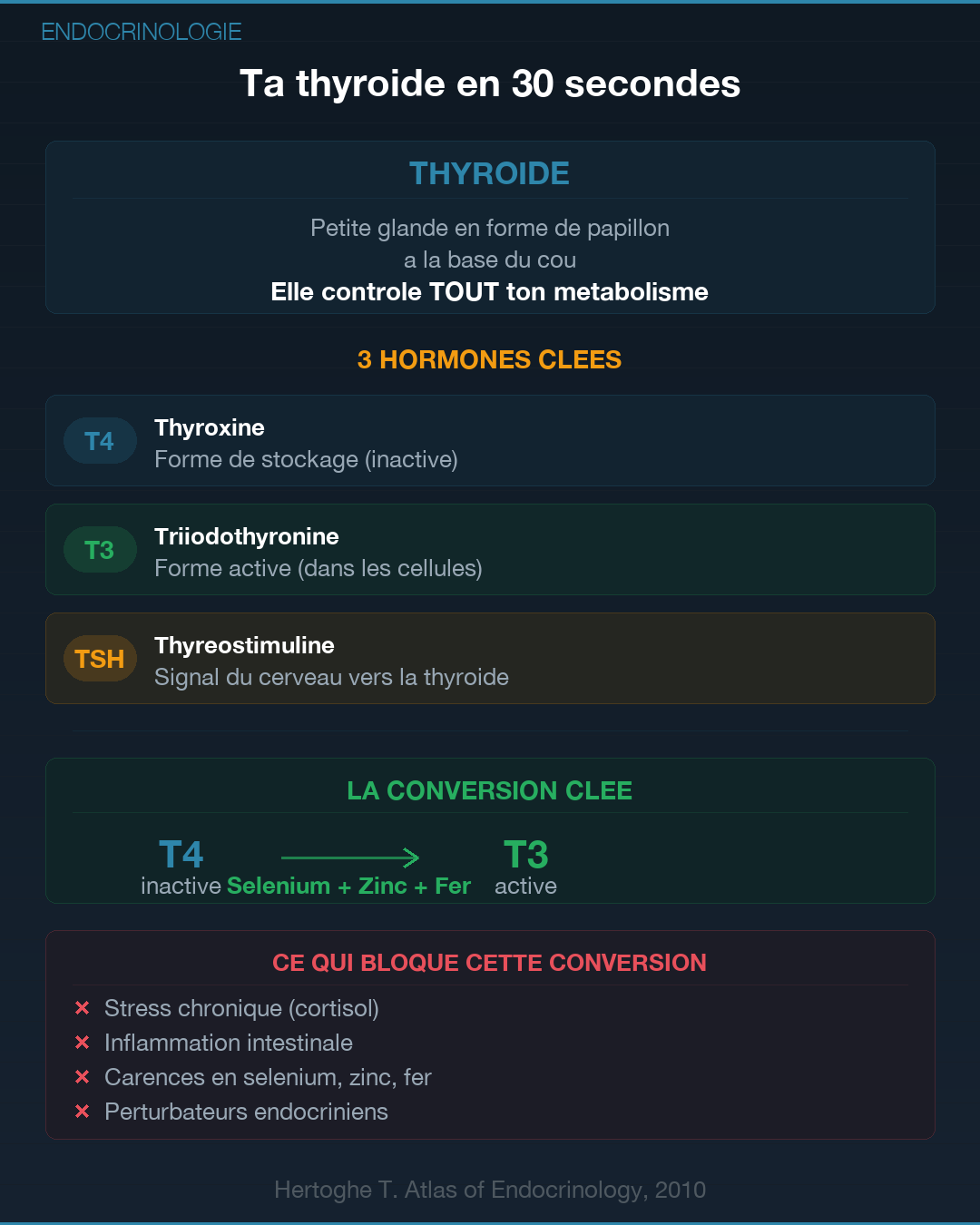 Thyroïde : 6 mauvaises habitudes qui la détruisent : Slide 2