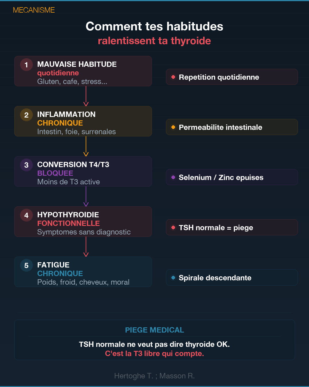 Thyroïde : 6 mauvaises habitudes qui la détruisent : Slide 3