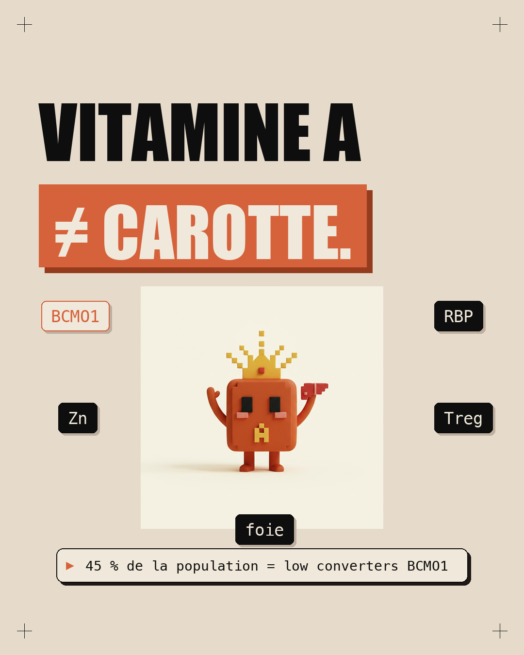 Vitamine A : le rétinol du foie, pas le bêta-carotène