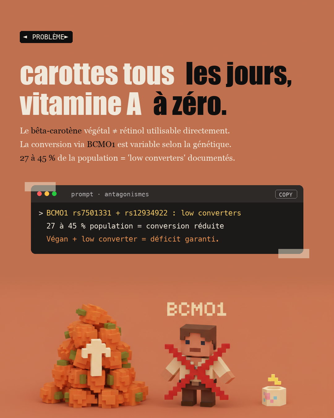 Vitamine A : le rétinol du foie, pas le bêta-carotène : Slide 2