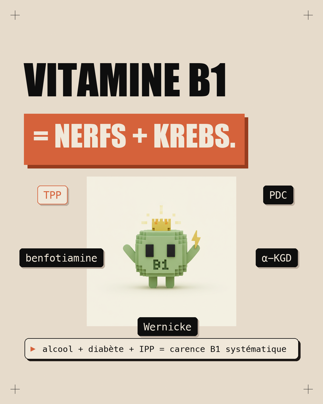 Vitamine B1 : la thiamine qui protège tes nerfs