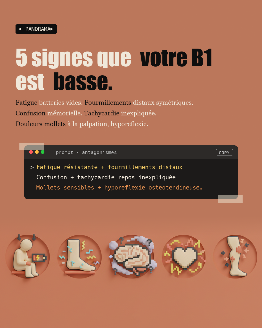 Vitamine B1 : la thiamine qui protège tes nerfs : Slide 7