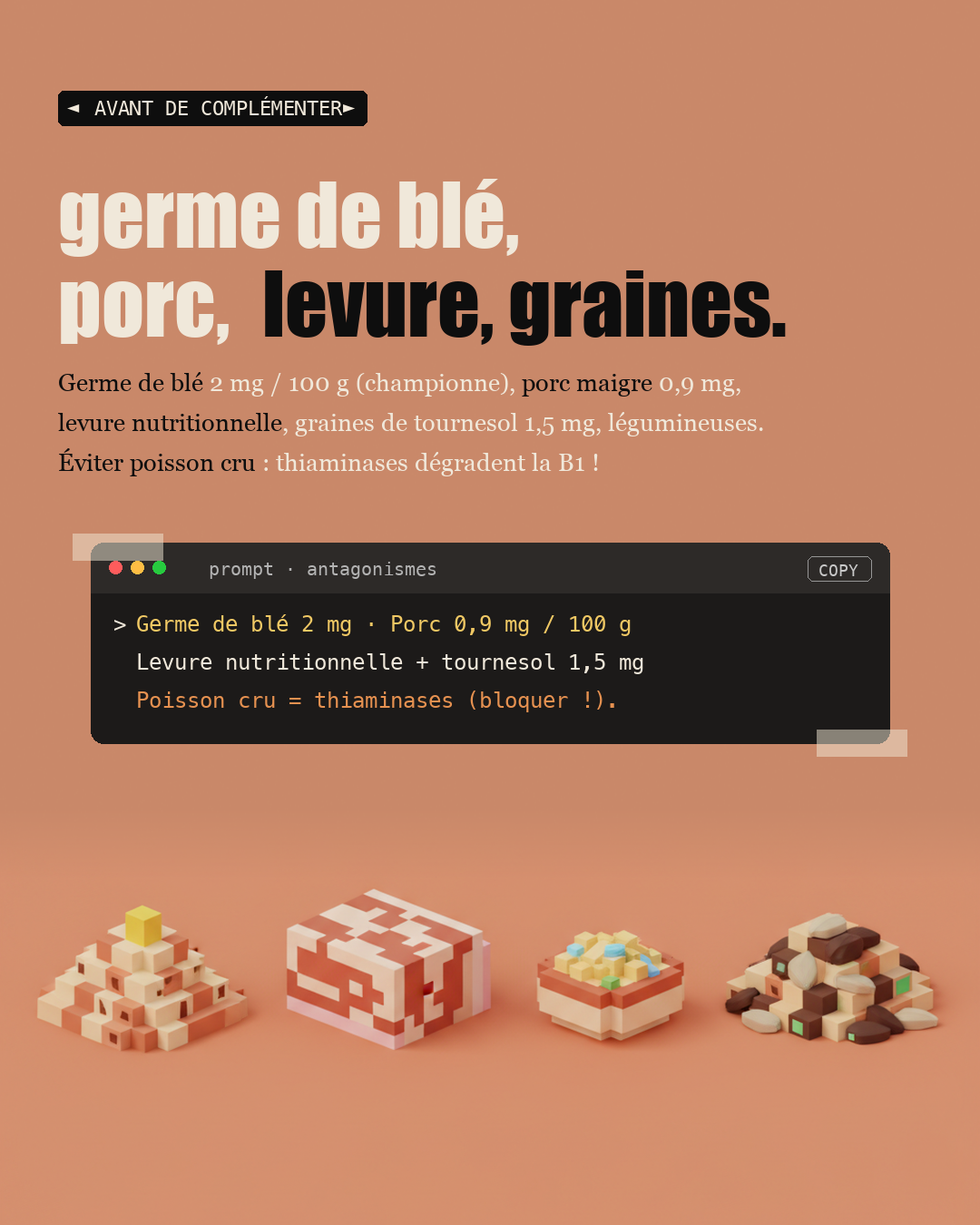Vitamine B1 : la thiamine qui protège tes nerfs : Slide 8