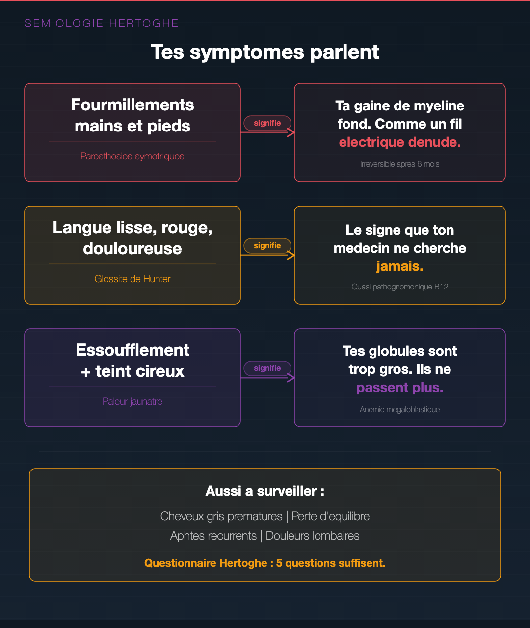Vitamine B12 : la carence qu'on rate à chaque bilan : Slide 7