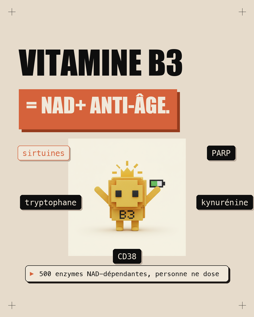 Vitamine B3 : le NAD+ qui remonte l'horloge