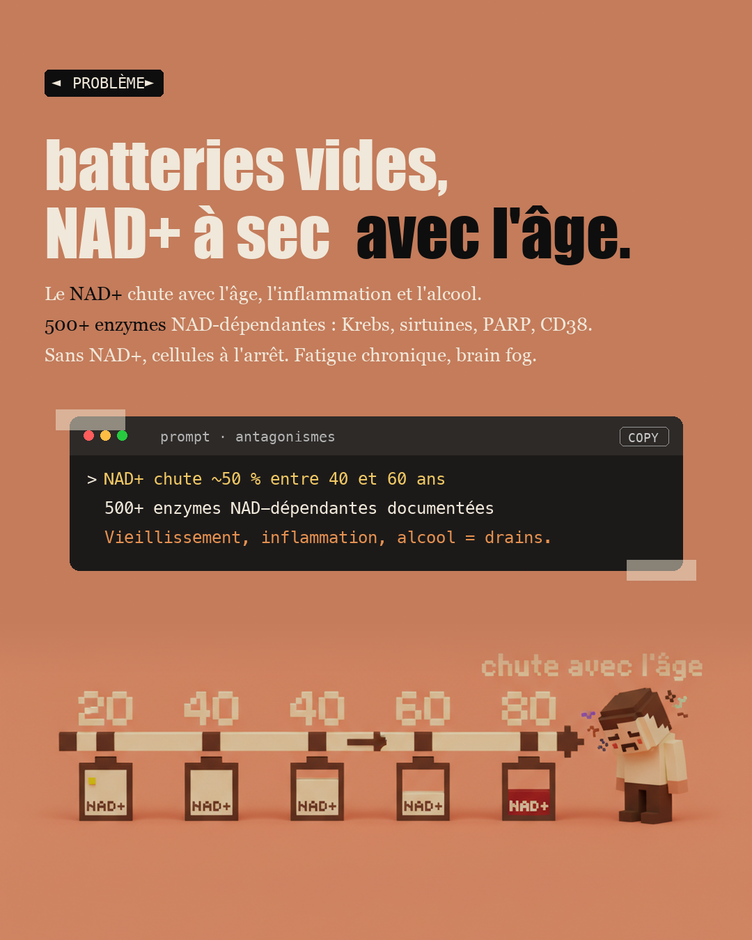 Vitamine B3 : le NAD+ qui remonte l'horloge : Slide 2