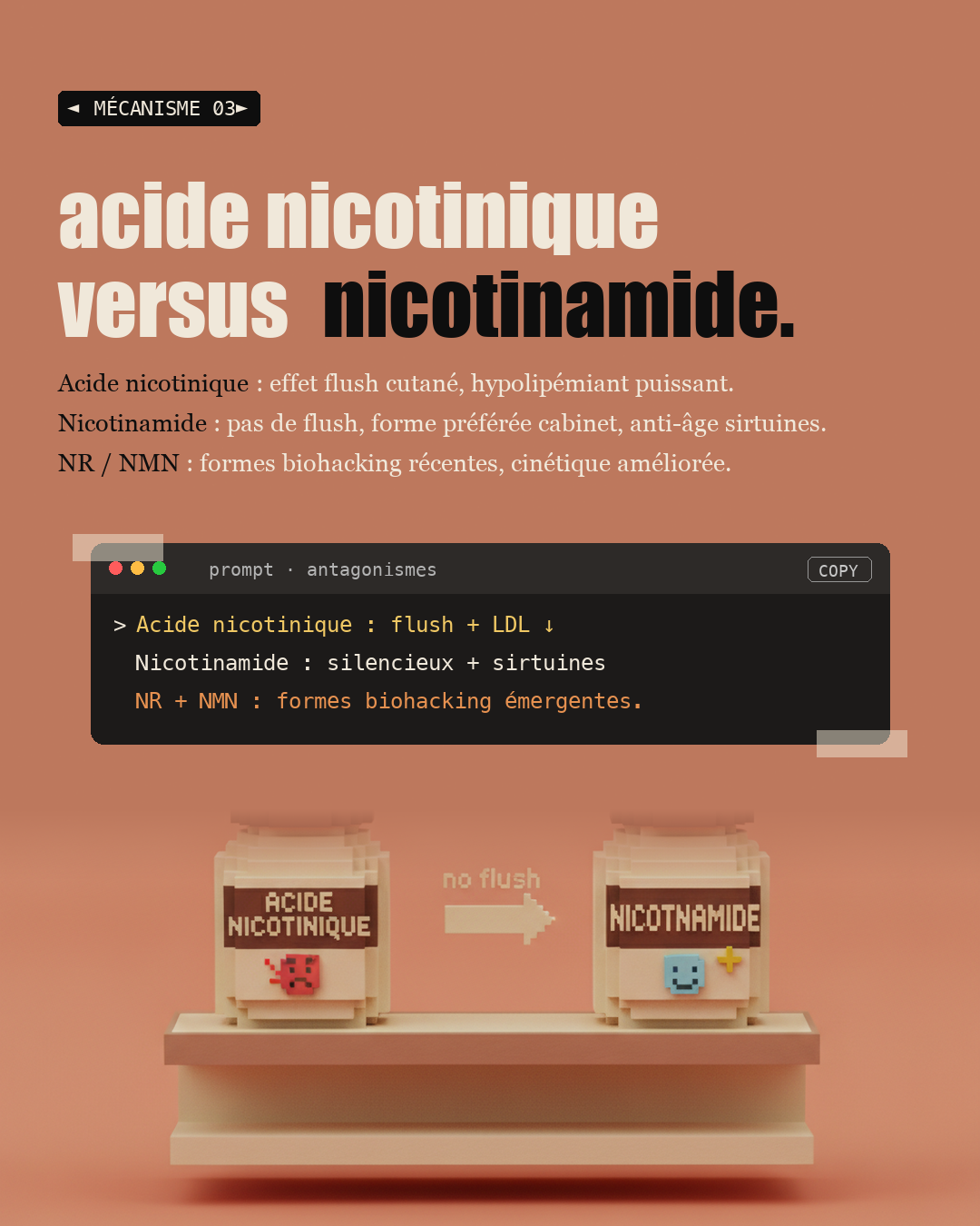 Vitamine B3 : le NAD+ qui remonte l'horloge : Slide 5