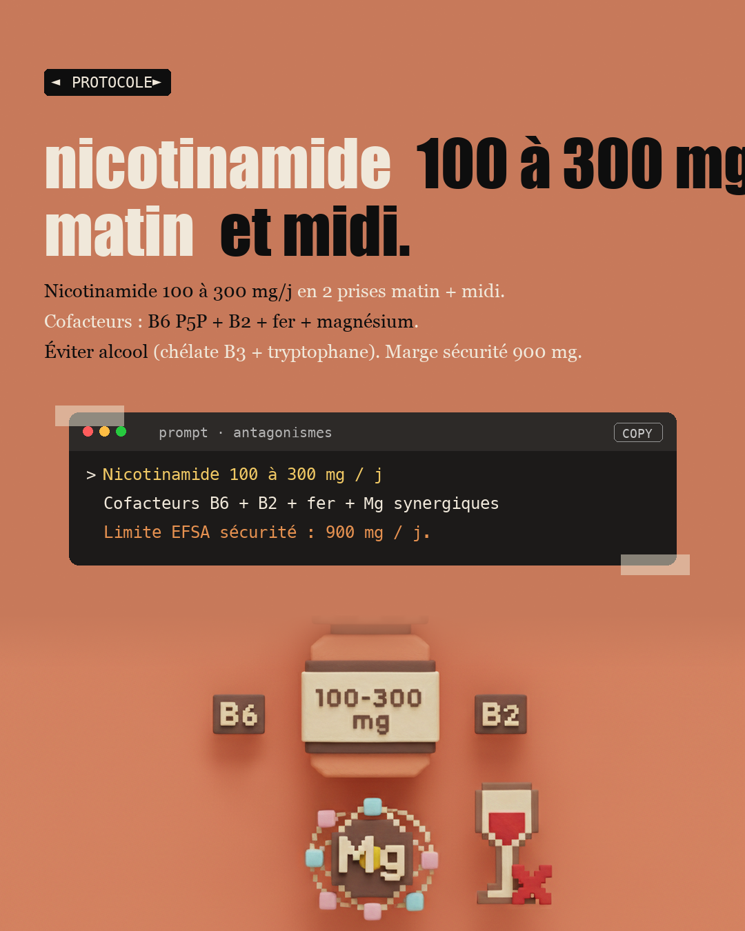 Vitamine B3 : le NAD+ qui remonte l'horloge : Slide 6