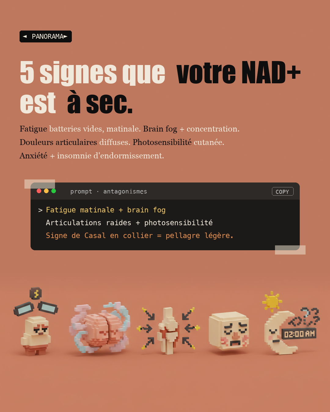 Vitamine B3 : le NAD+ qui remonte l'horloge : Slide 7