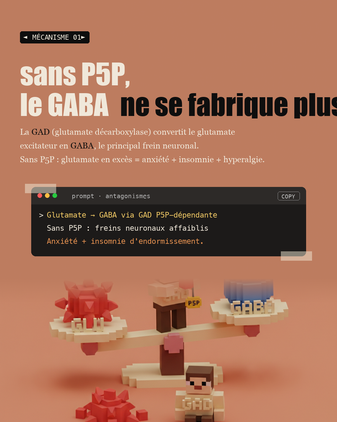 Vitamine B6 : le calme du GABA : Slide 3