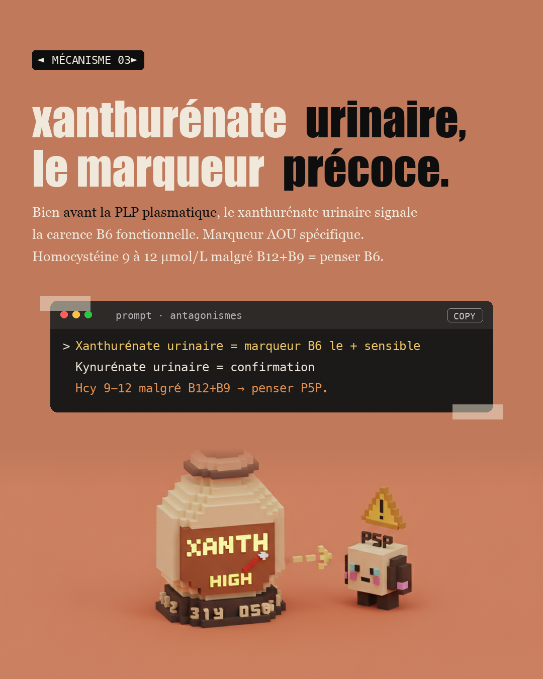 Vitamine B6 : le calme du GABA : Slide 5