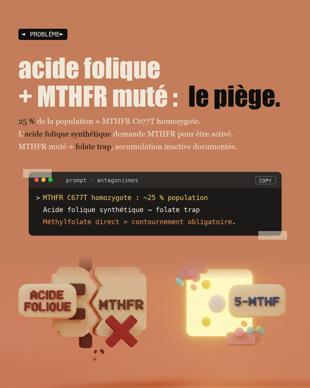 Vitamine B9 : oublie l'acide folique, prends du méthylfolate : Slide 2
