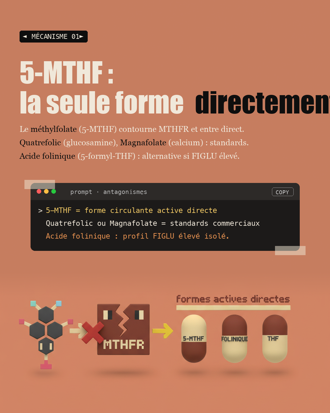 Vitamine B9 : oublie l'acide folique, prends du méthylfolate : Slide 3