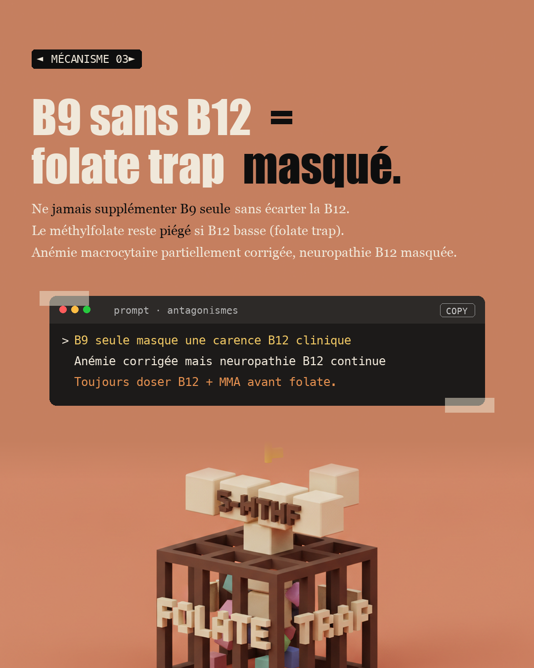 Vitamine B9 : oublie l'acide folique, prends du méthylfolate : Slide 5