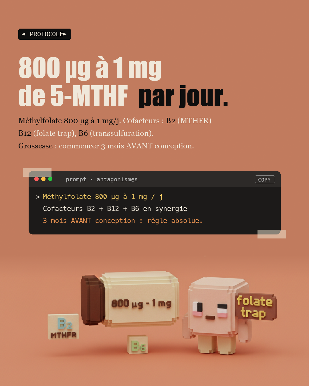 Vitamine B9 : oublie l'acide folique, prends du méthylfolate : Slide 6