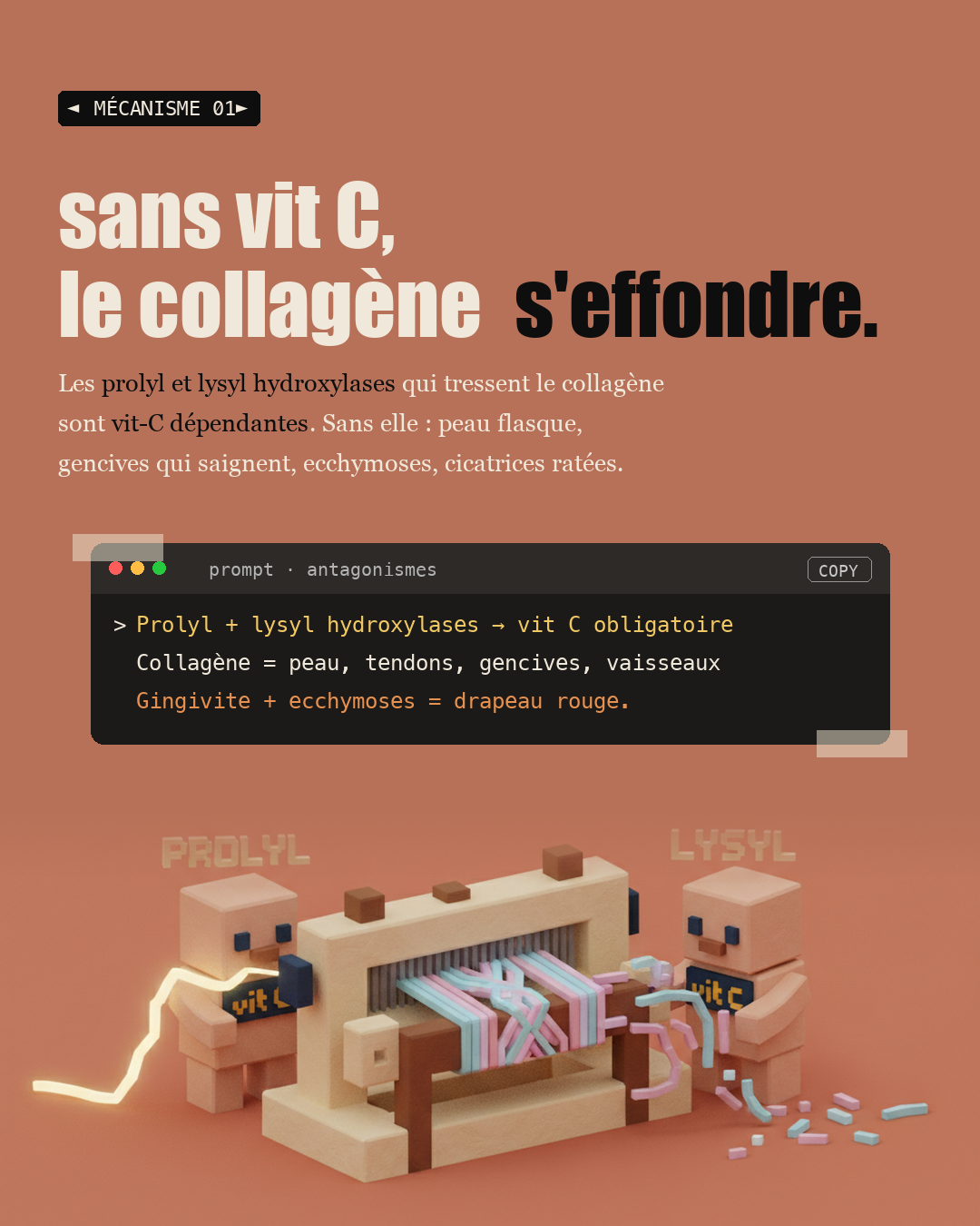 Vitamine C : les 80 mg de l'OMS ne suffisent pas : Slide 3