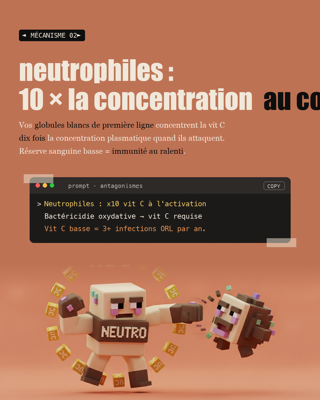 Vitamine C : les 80 mg de l'OMS ne suffisent pas : Slide 4