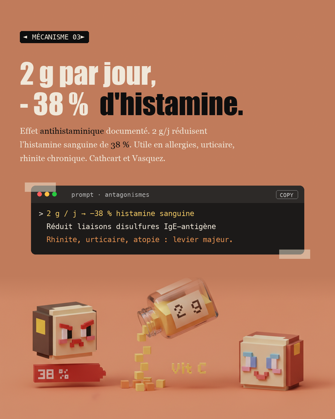 Vitamine C : les 80 mg de l'OMS ne suffisent pas : Slide 5