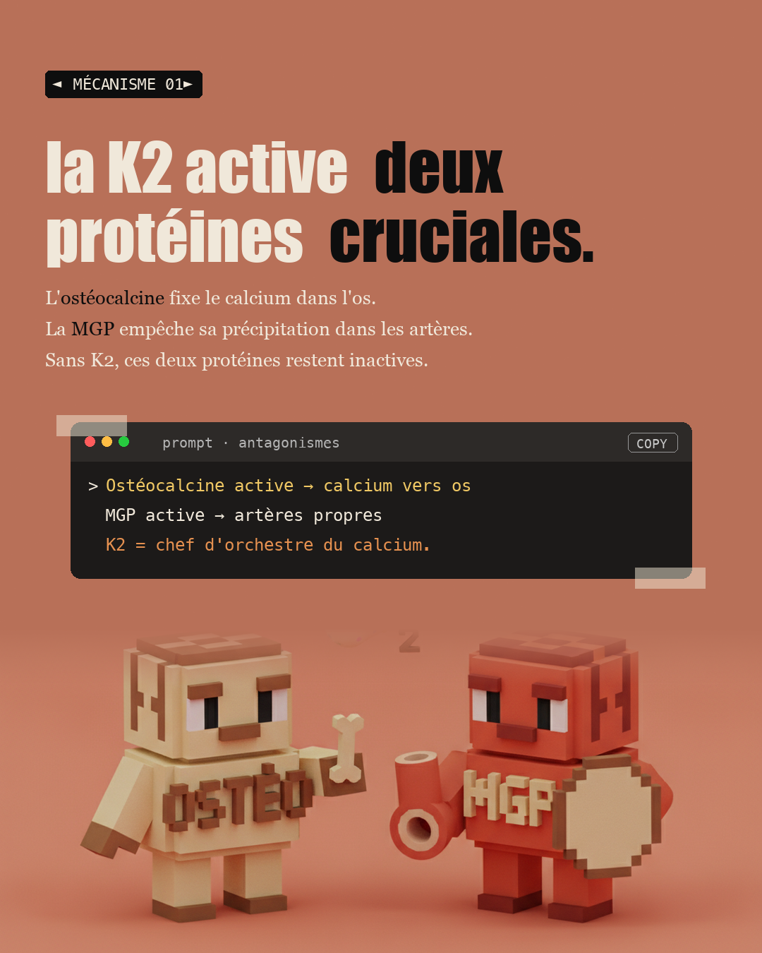 Vitamine D sans K2 : l'erreur qui calcifie tes artères : Slide 3