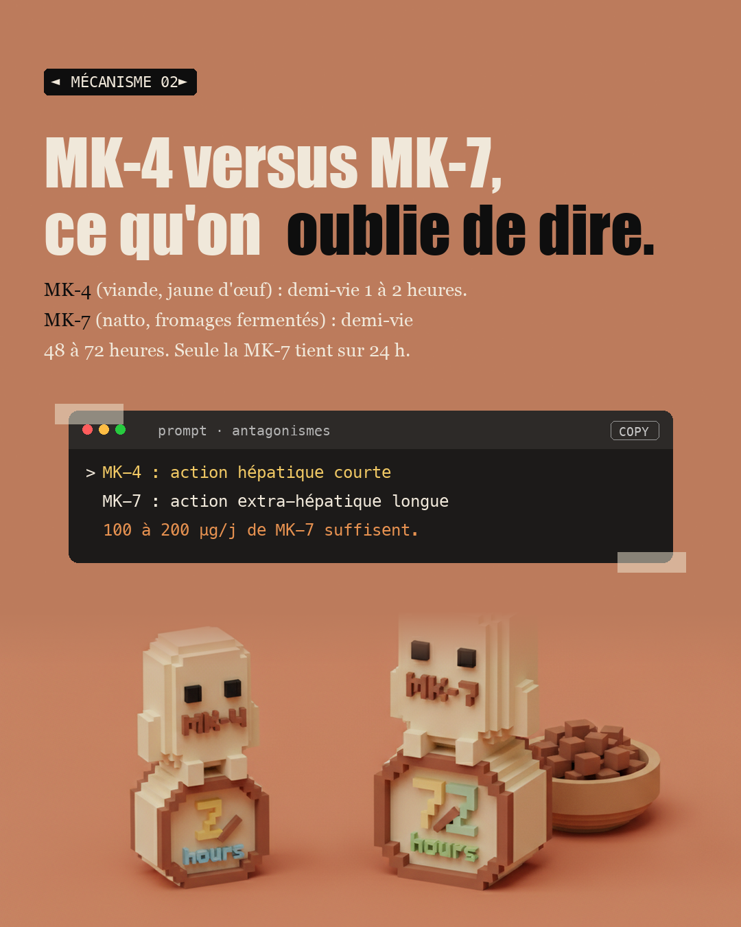 Vitamine D sans K2 : l'erreur qui calcifie tes artères : Slide 4
