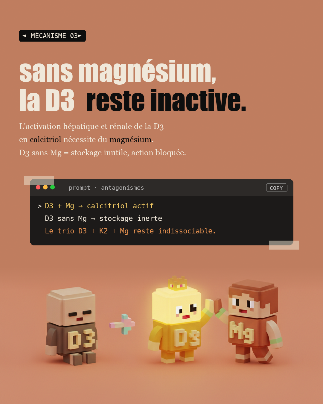 Vitamine D sans K2 : l'erreur qui calcifie tes artères : Slide 5