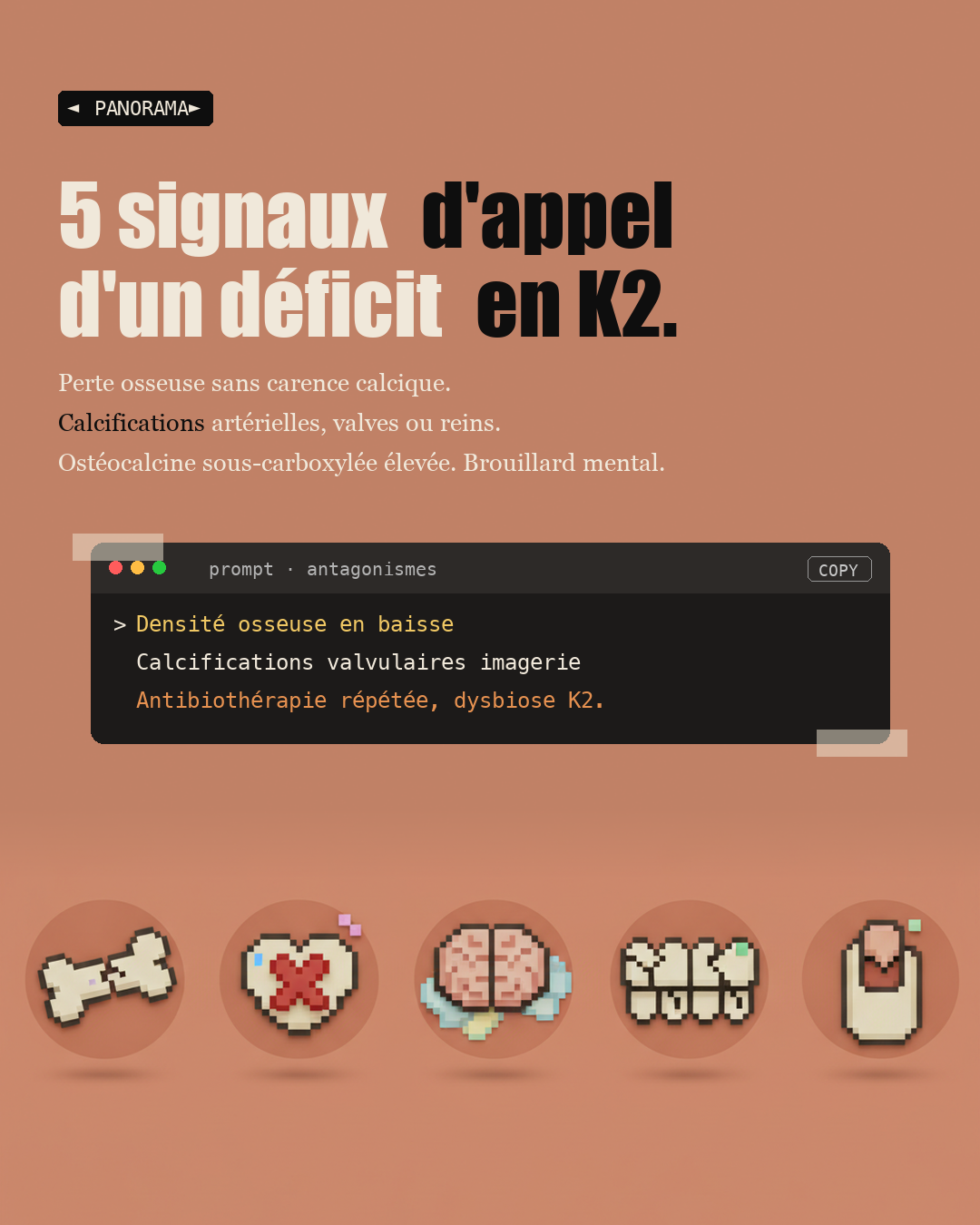 Vitamine D sans K2 : l'erreur qui calcifie tes artères : Slide 7