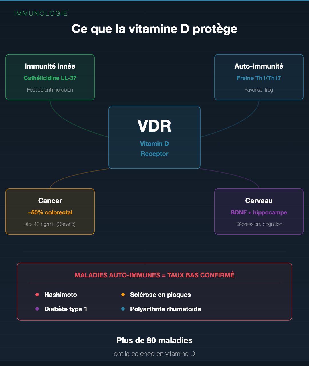 Vitamine D : la vraie carence silencieuse : Slide 5