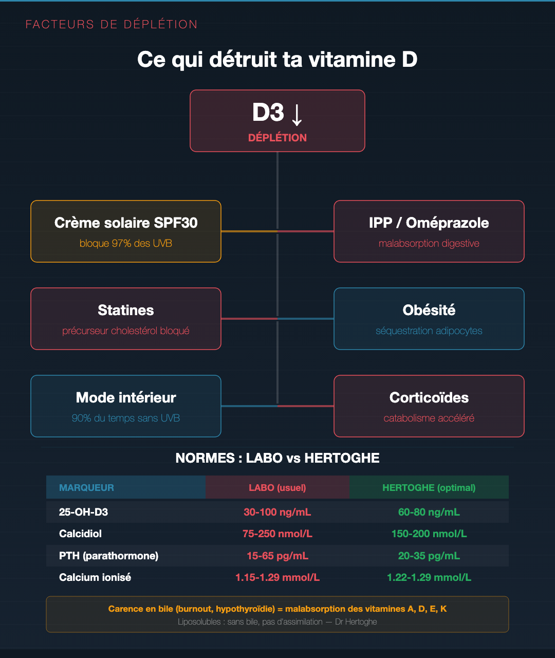 Vitamine D : la vraie carence silencieuse : Slide 8